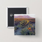 USA, Texas, Big Bend NP. Sandrosa Dämmerung Button (Vorne & Hinten)