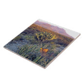 USA, Texas, Big Bend NP. Sandrosa Dämmerung Fliese (Seite)