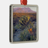 USA, Texas, Big Bend NP. Sandrosa Dämmerung Silbernes Ornament (Rechts)