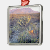 USA, Texas, Big Bend NP. Sandrosa Dämmerung Silbernes Ornament (Links)