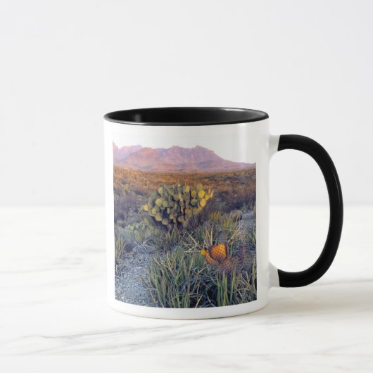 USA, Texas, Big Bend NP. Sandrosa Dämmerung Tasse (Rechts)