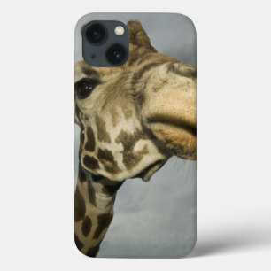 USA, Texas, Fossil Rim Wildlife Area, Giraffe Case-Mate iPhone Hülle