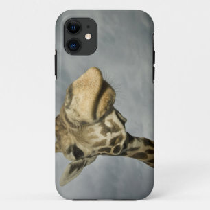 USA, Texas, Fossil Rim Wildlife Area, Giraffe Case-Mate iPhone Hülle