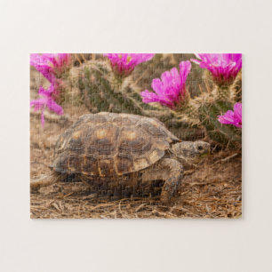 USA, Texas, Hidalgo County. Landschildkröte Puzzle