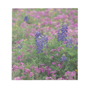 USA, Texas Hill Country. Blaue Hauben zwischen Phl Notizblock