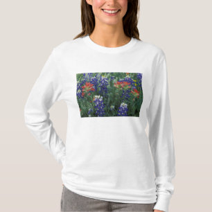 USA, Texas Hill Country. Blaue Lupinen und T-Shirt