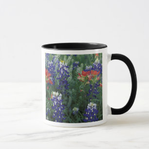 USA, Texas Hill Country. Blaue Lupinen und Tasse