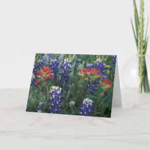 USA, Texas Hill Country. Bluebonetze und Karte