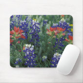 USA, Texas Hill Country. Bluebonetze und Mousepad (Mit Mouse)