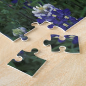 USA, Texas Hill Country. Bluebonetze und Puzzle (Seite)