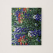 USA, Texas Hill Country. Bluebonetze und Puzzle (Vertikal)
