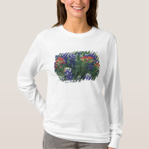 USA, Texas Hill Country. Bluebonetze und T-Shirt