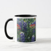 USA, Texas Hill Country. Bluebonetze und Tasse (Links)