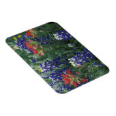 USA, Texas Hill Country. Bluebonnets und Magnet (Rechte Seite)