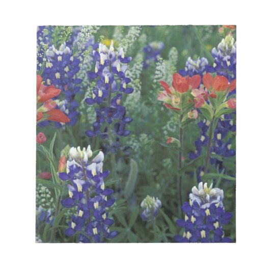 USA, Texas Hill Country. Bluebonnets und Notizblock (Vorderseite)