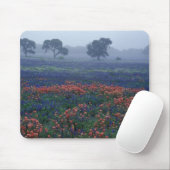 USA, Texas, in der Nähe von Lytle Fog, Eichen, bla Mousepad (Mit Mouse)