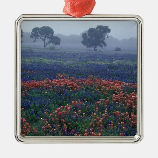 USA, Texas, in der Nähe von Lytle Fog, Eichen, bla Silbernes Ornament (Vorne)