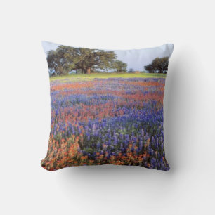 USA, Texas, Llano. Blaue und rote Mohnblumen Kissen