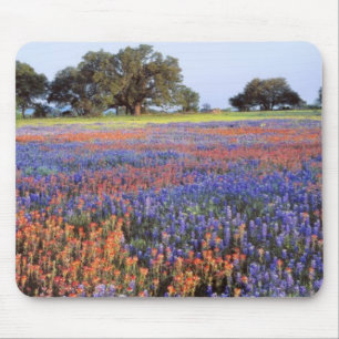 USA, Texas, Llano. Blaue und rote Mohnblumen Mousepad