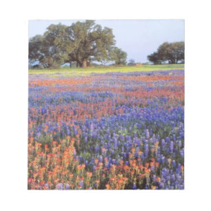 USA, Texas, Llano. Blaue und rote Mohnblumen Notizblock