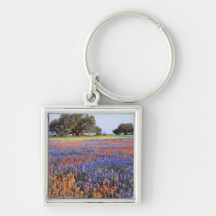 USA, Texas, Llano. Blaue und rote Mohnblumen Schlüsselanhänger