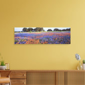 USA, Texas, Llano. Bluebonette und Rotbarnet Leinwanddruck (Insitu (Wohnzimmer))