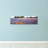 USA, Texas, Llano. Bluebonette und Rotbarnet Leinwanddruck (Insitu (Holzboden))