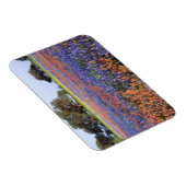 USA, Texas, Llano. Bluebonette und Rotbarnet Magnet (Rechte Seite)