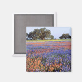 USA, Texas, Llano. Bluebonette und Rotbarnet Magnet (Vorderseite/Rückseite)