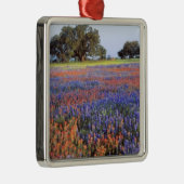 USA, Texas, Llano. Bluebonetze und Rotbonbons Ornament Aus Metall (Rechts)