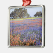 USA, Texas, Llano. Bluebonetze und Rotbonbons Ornament Aus Metall (Links)