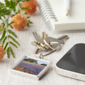 USA, Texas, Llano. Bluebonetze und Rotbonbons Schlüsselanhänger (Seite)