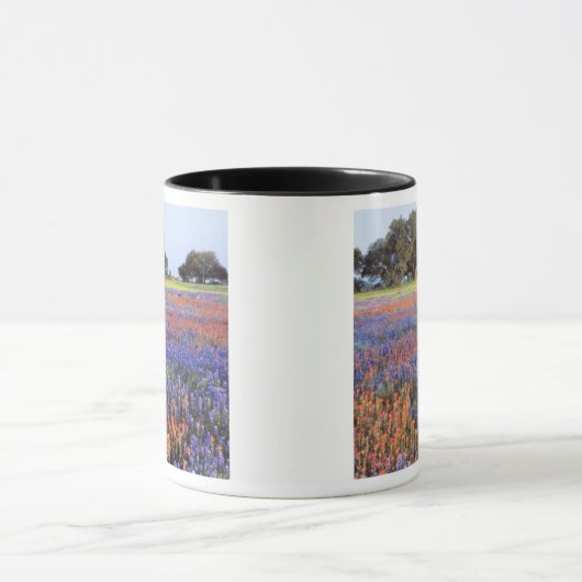 USA, Texas, Llano. Bluebonetze und Rotbonbons Tasse (Zentrum)