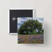 USA, Texas, Marble Falls Paintbrush und Button (Vorne & Hinten)