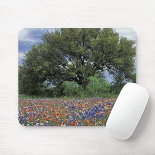 USA, Texas, Marble Falls Paintbrush und Mousepad (Mit Mouse)