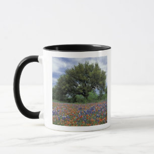 USA, Texas, Marble Falls Paintbrush und Tasse