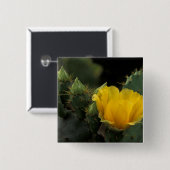 USA, Texas, Prickly Pear Cactus in Blüte. Button (Vorne & Hinten)