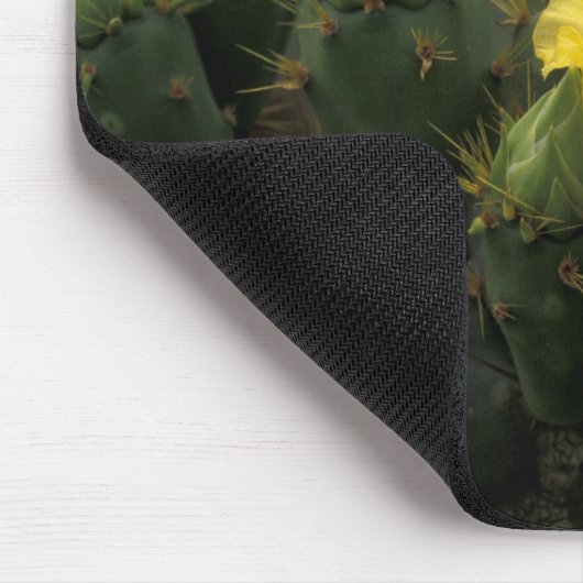 USA, Texas, Prickly Pear Cactus in Blüte. Mousepad (Ecke)