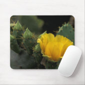 USA, Texas, Prickly Pear Cactus in Blüte. Mousepad (Mit Mouse)
