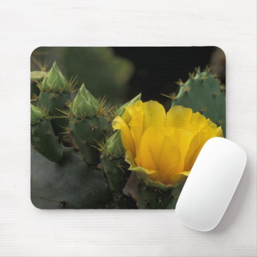 USA, Texas, Prickly Pear Cactus in Blüte. Mousepad (Mit Mouse)
