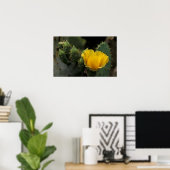 USA, Texas, Prickly Pear Cactus in Blüte. Poster (Heimbüro)