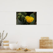 USA, Texas, Prickly Pear Cactus in Blüte. Poster (Küche)