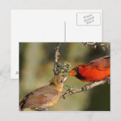 USA, Texas, Rio Grande Valley, McAllen. gemasert Postkarte (Vorne/Hinten)