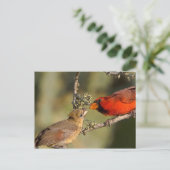 USA, Texas, Rio Grande Valley, McAllen. gemasert Postkarte (Stehend Vorderseite)