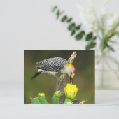 USA, Texas, Rio Grande Valley, McAllen. Mann Postkarte (Stehend Vorderseite)