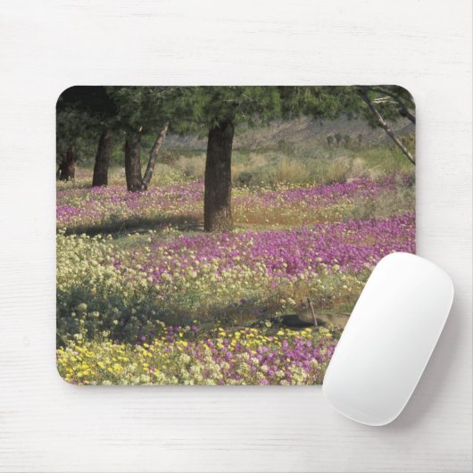 USA, Texas, Sand Verbena und Brown-mit Augen Mousepad (Mit Mouse)