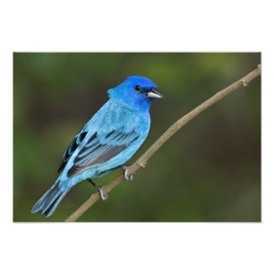 USA, Texas, South Padre Island Fotodruck