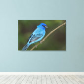 USA, Texas, South Padre Island Leinwanddruck (Insitu (Holzboden))