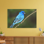 USA, Texas, South Padre Island Leinwanddruck (Insitu (Wohnzimmer))