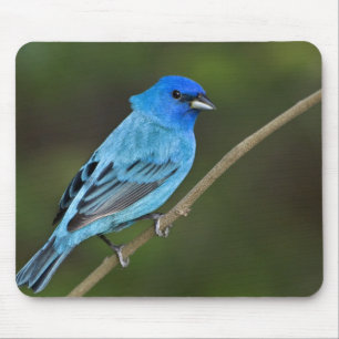 USA, Texas, South Padre Island Mousepad